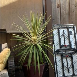 Meet your Posher, Gloria